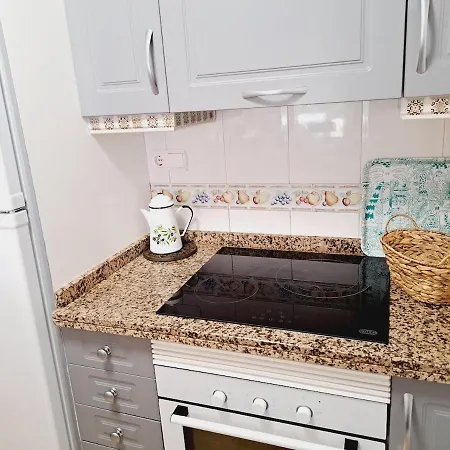 House With Palm Tree טורבייחה