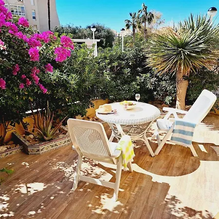 House With Palm Tree Apartment Torrevieja