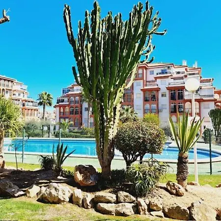 House With Palm Tree Apartment *