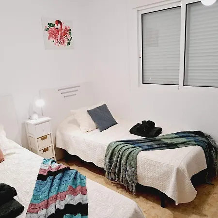 House With Palm Tree Apartment Torrevieja
