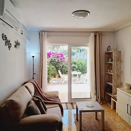 House With Palm Tree Apartment Torrevieja